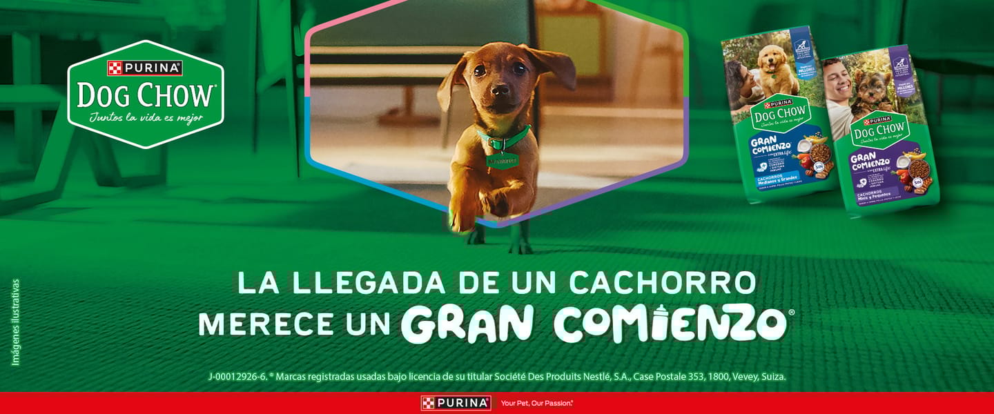 Dog Chow Gran Comienzo